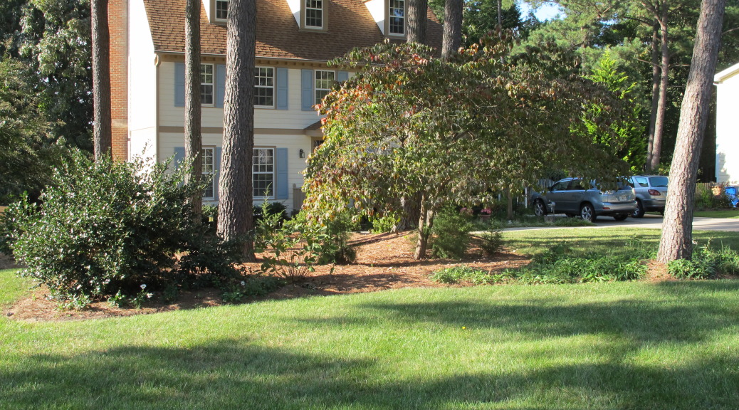 Beautiful House with Large front yard